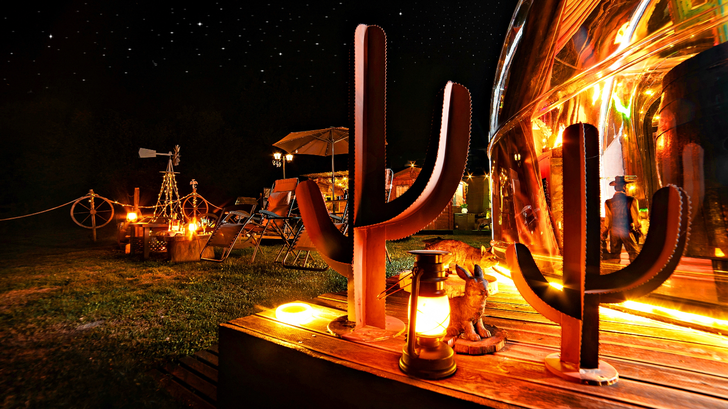 Bulle Texas - Luxury Glamping - Vue lac & montagnes – photo 21 sur 64