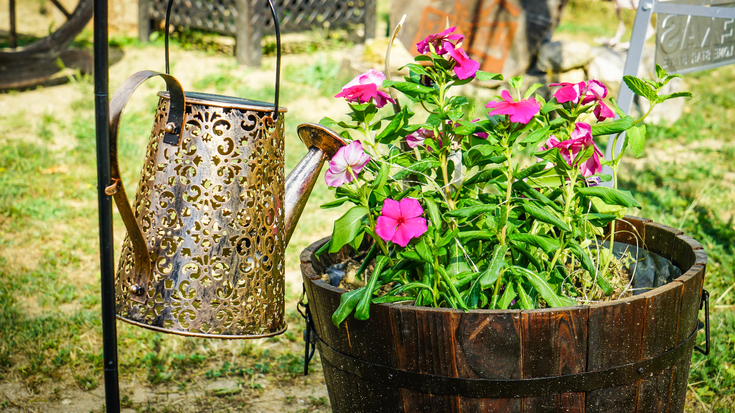 Bulle Texas - Luxury Glamping - Vue lac & montagnes – photo 39 sur 64