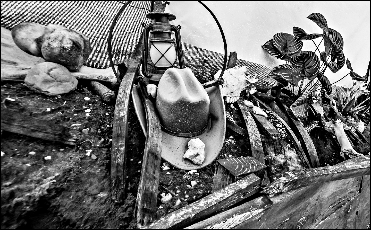 Bulle Texas - Luxury Glamping - Vue lac & montagnes – photo 40 sur 64