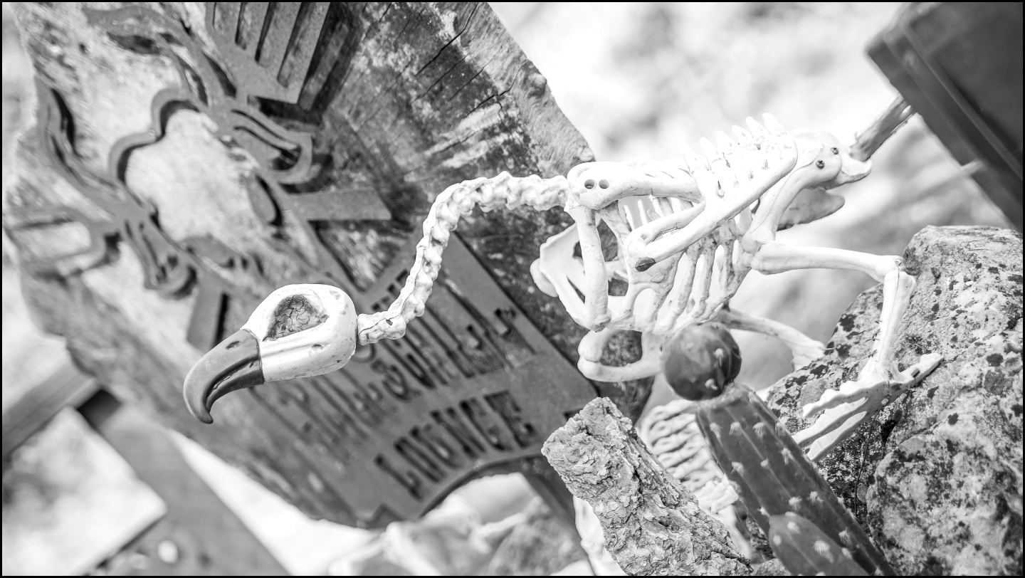 Bulle Texas - Luxury Glamping - Vue lac & montagnes – photo 41 sur 64