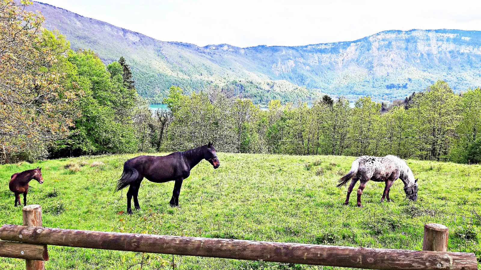 Bulle Texas - Luxury Glamping - Vue lac & montagnes - photo 52 sur 64