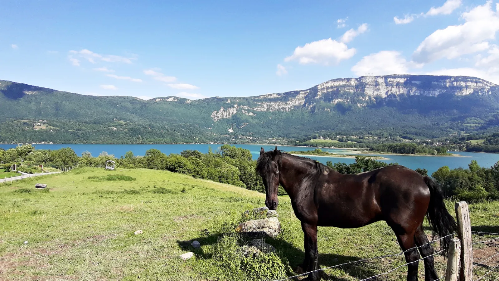 Bulle Texas - Luxury Glamping - Vue lac & montagnes - photo 62 sur 64
