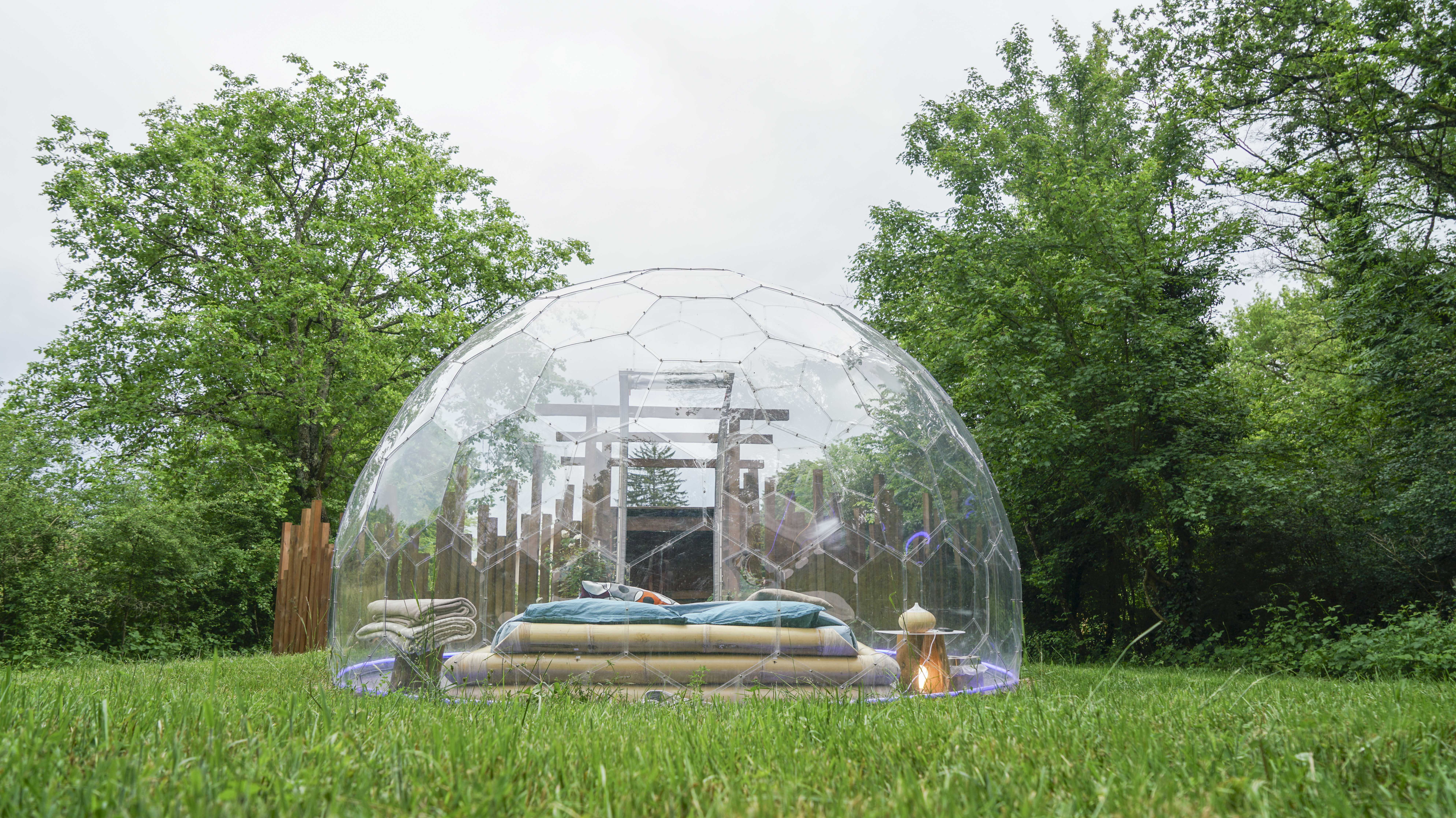 Bulle Transparente Royaume des Arômes – photo 8 sur 11