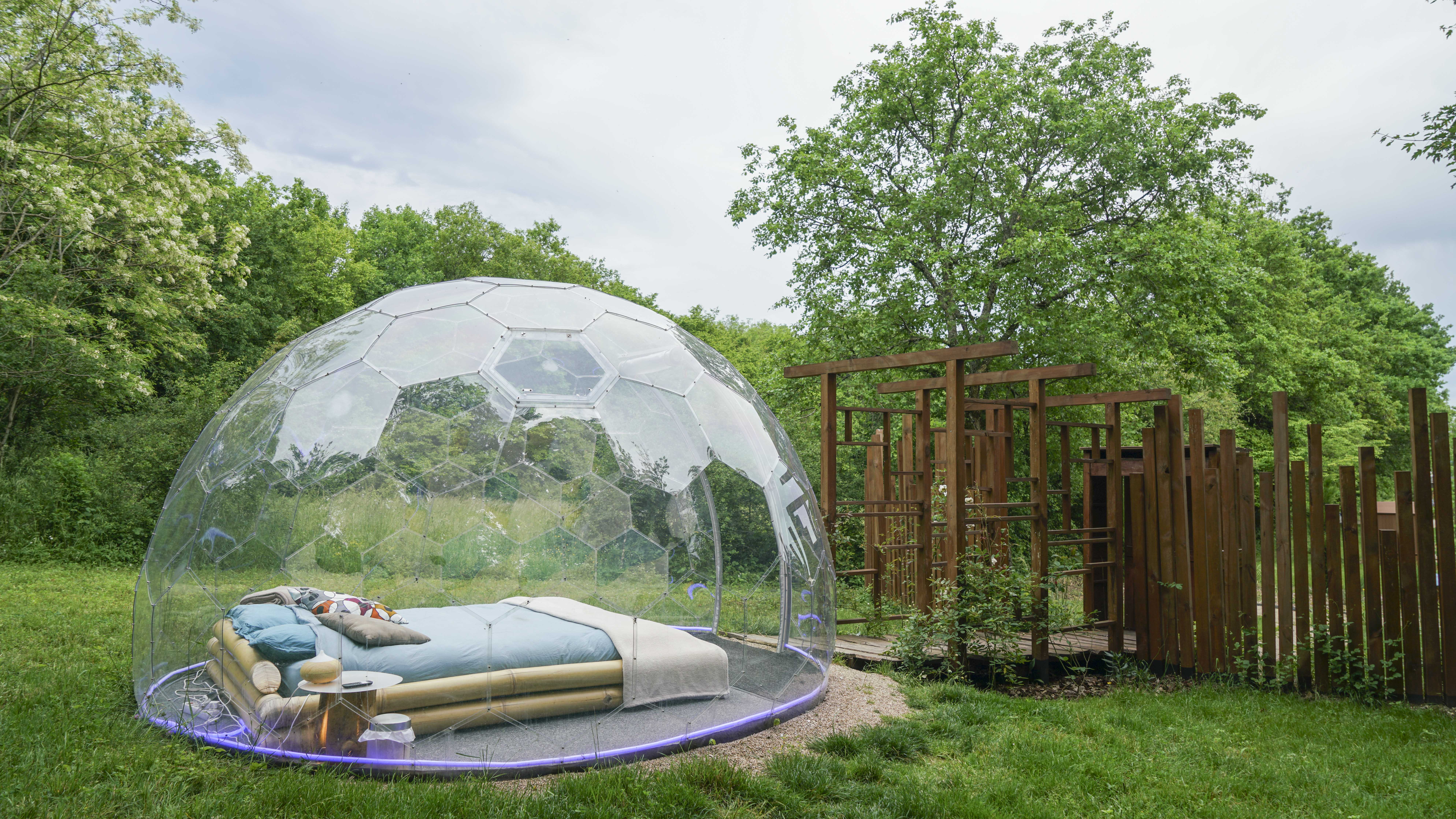 Bulle Transparente Royaume des Arômes – photo 9 sur 11