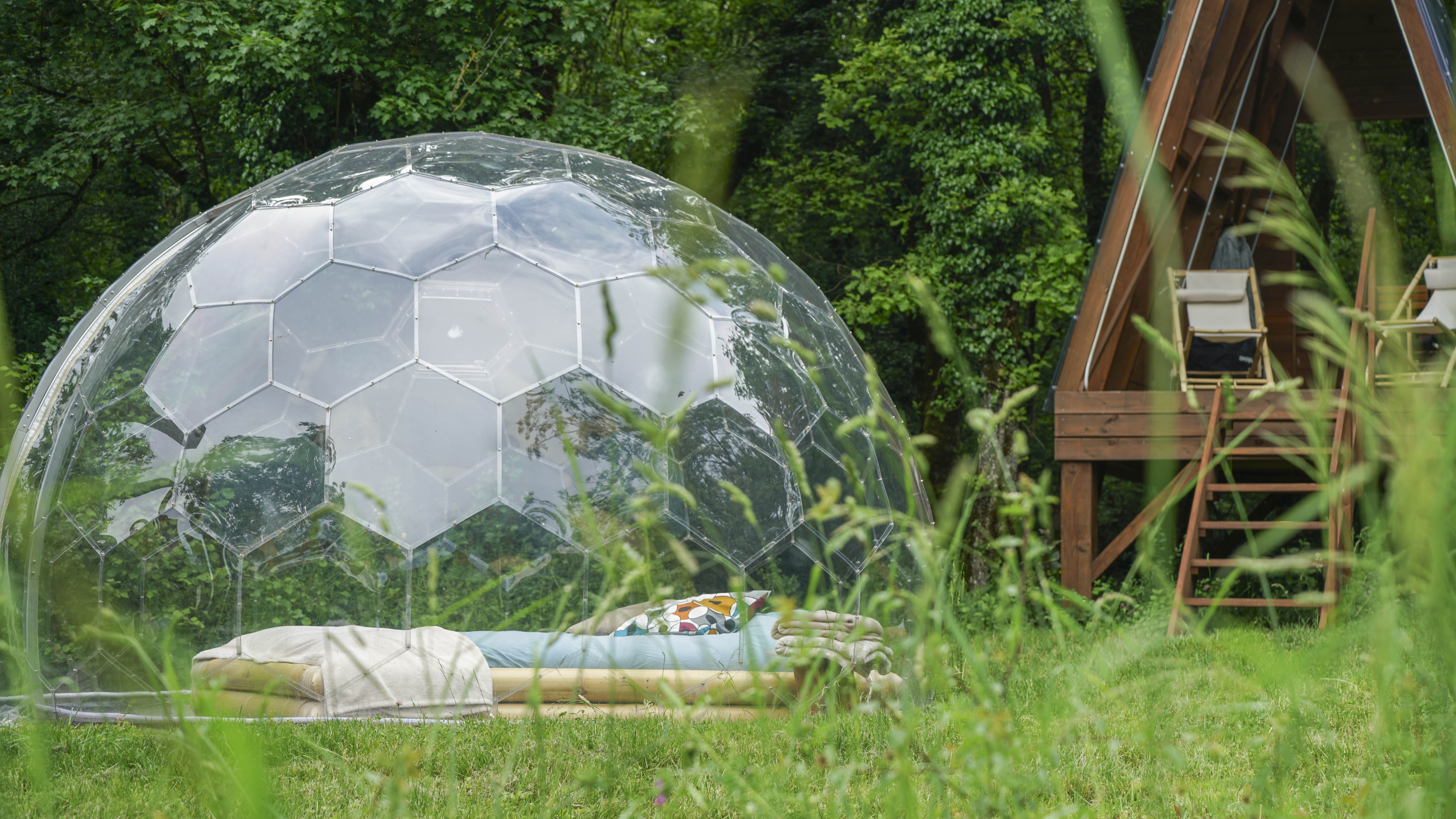 Bulle Transparente Royaume des Arômes – photo 10 sur 11