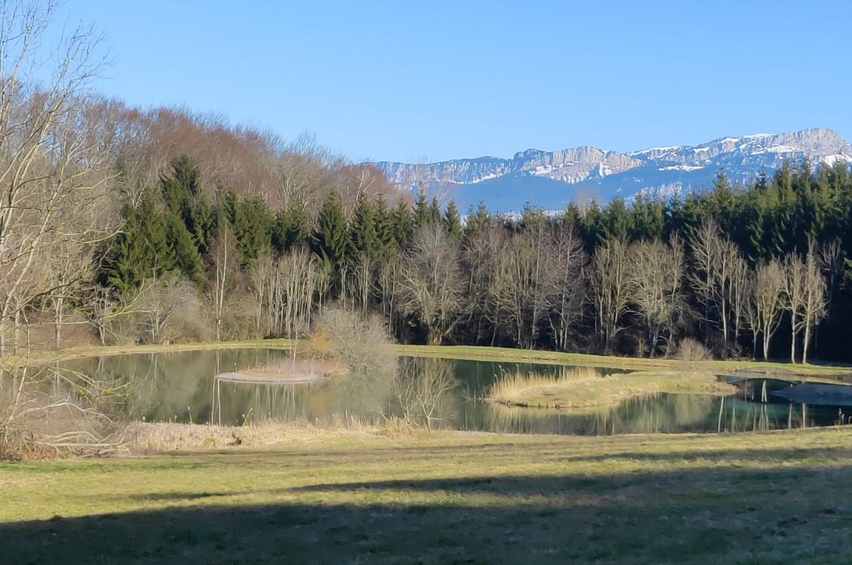 Bulle transparente et son spa – photo 12 sur 15