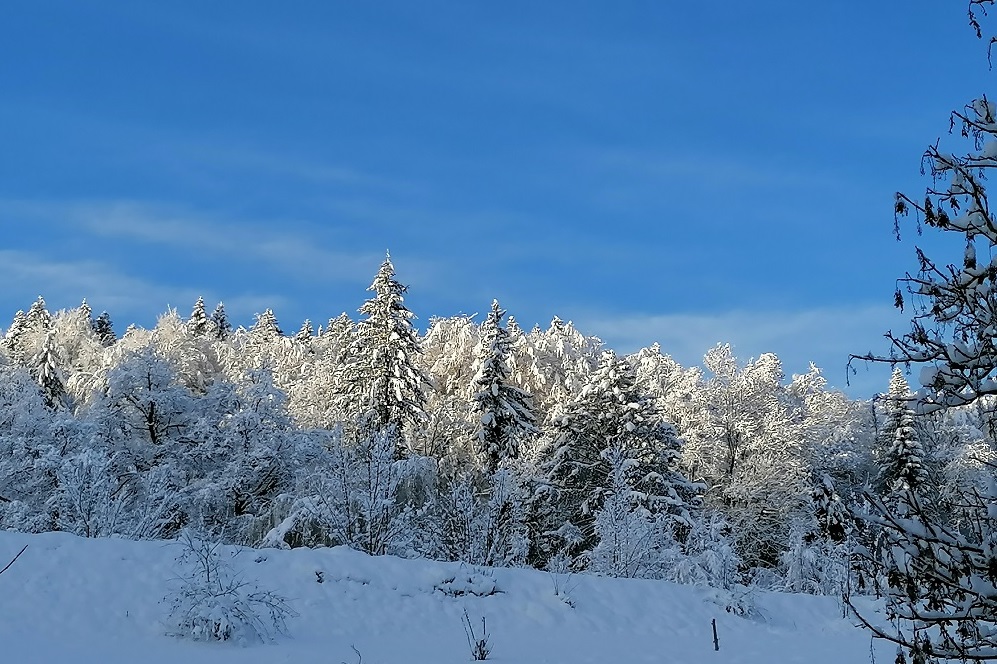 Bulle transparente et son spa – photo 15 sur 15