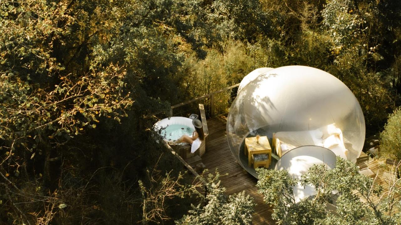 Bulle transparente – vue extérieure