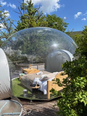 Bulle transparente – photo 6 sur 8