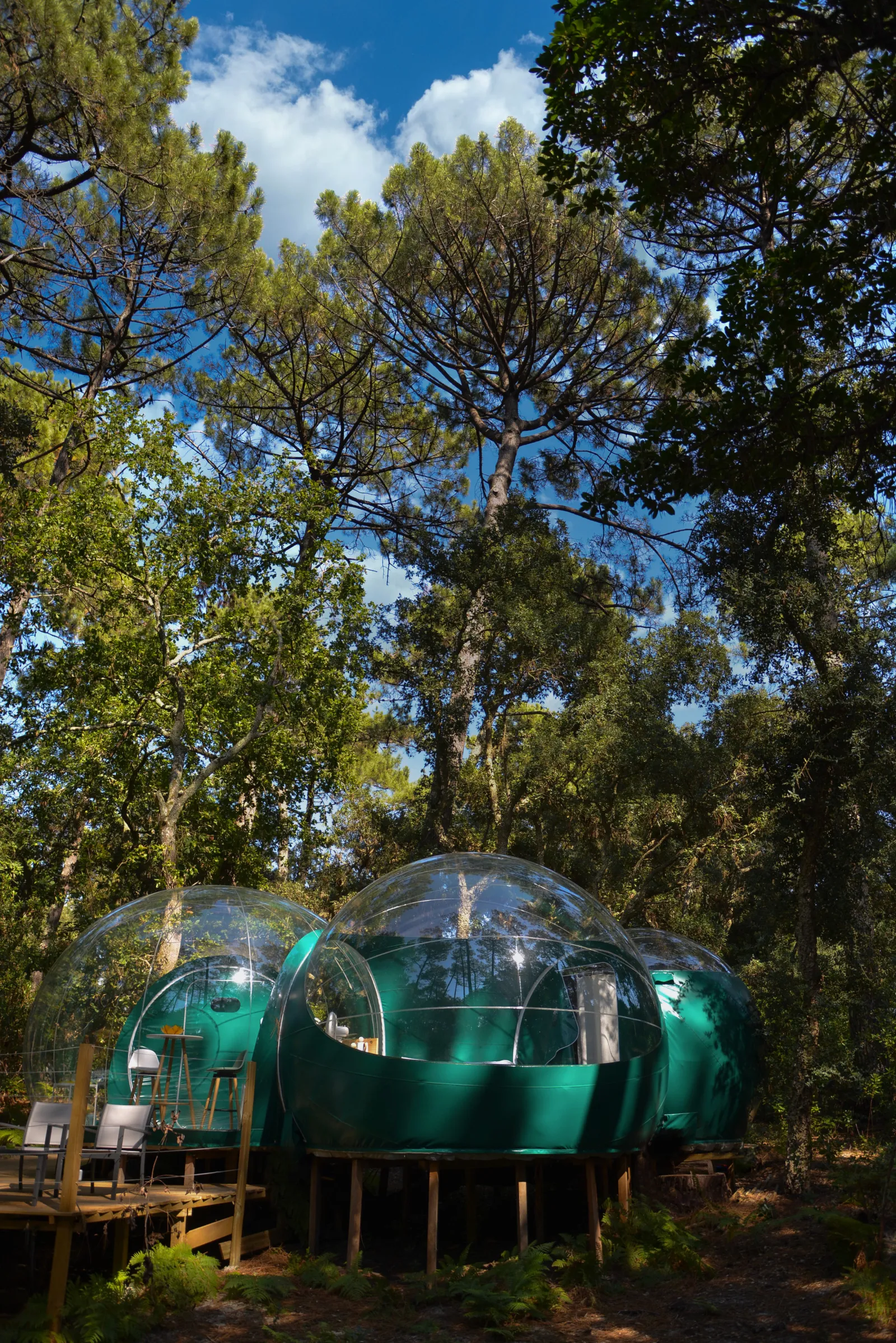 Bulle Verte d'Hossegor & Spa - cadre naturel Landes