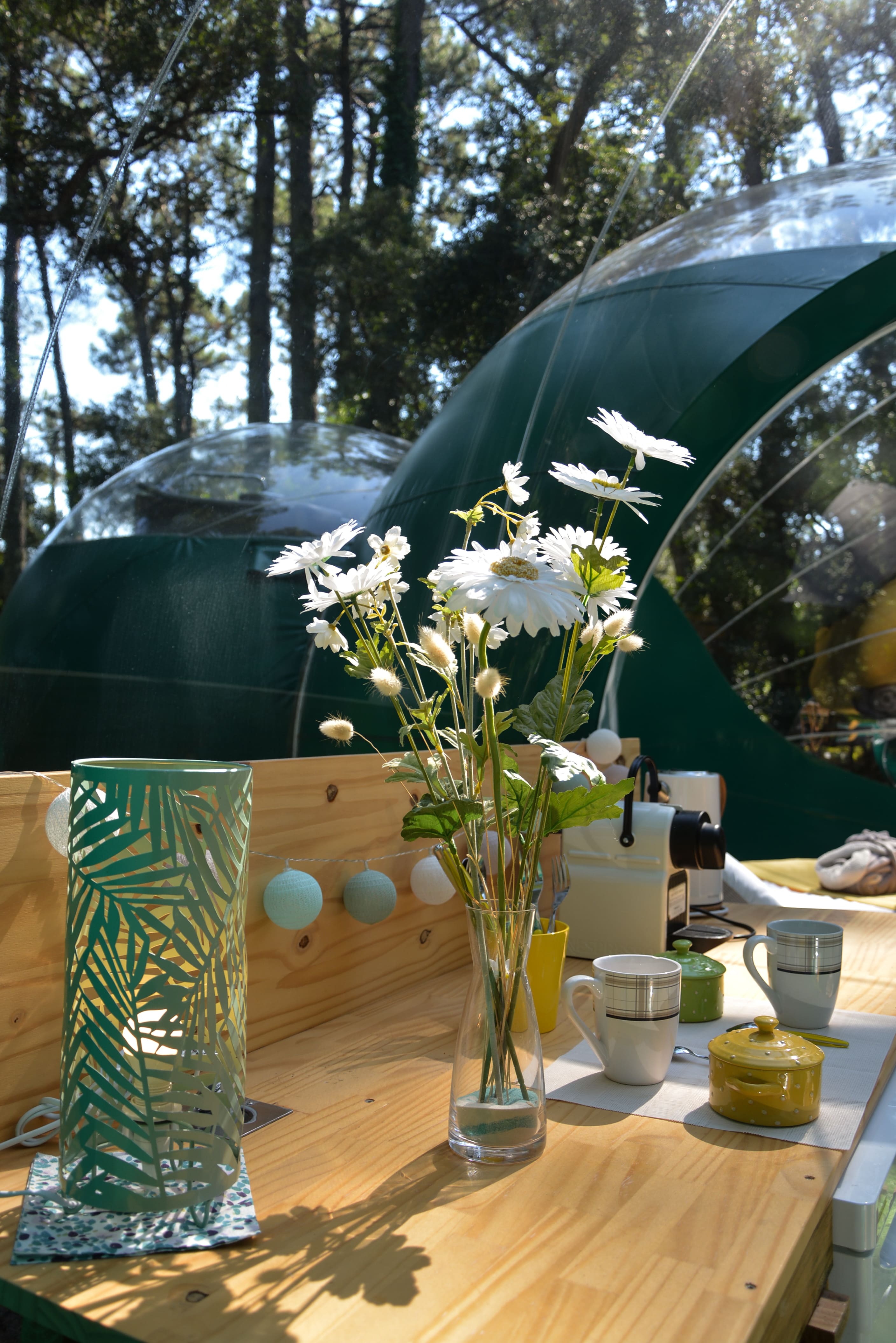 Bulle Verte d'Hossegor & Spa – photo 7 sur 14