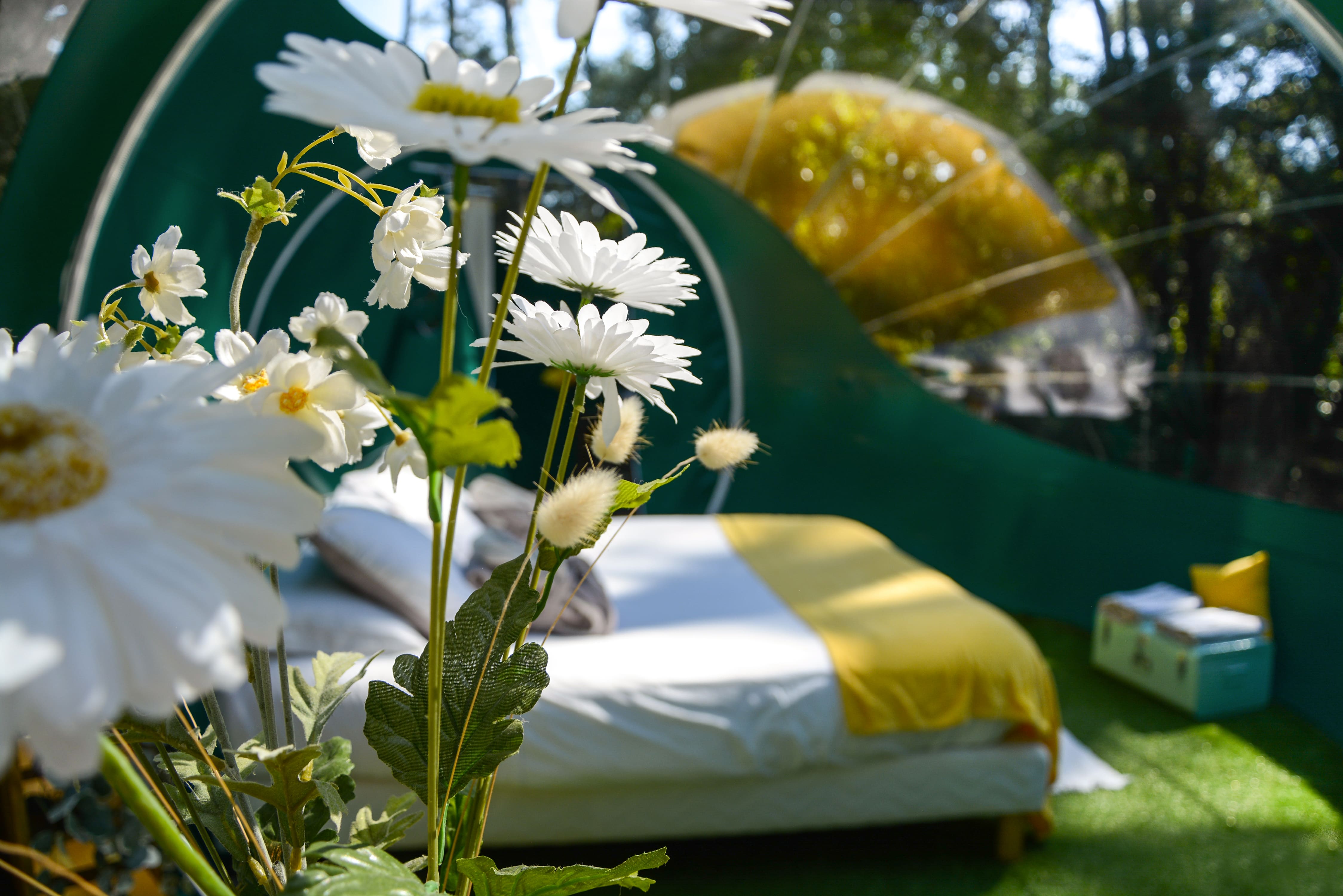 Bulle Verte d'Hossegor & Spa – photo 11 sur 14