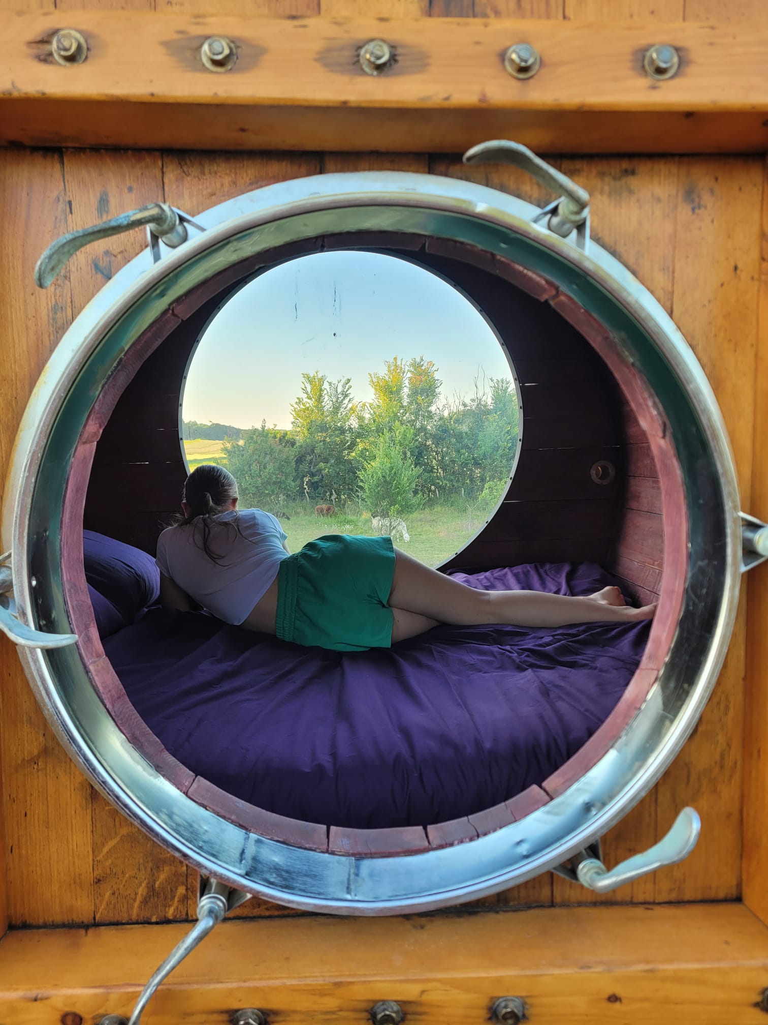 Chambre bulle sous les étoiles à Tuffalun