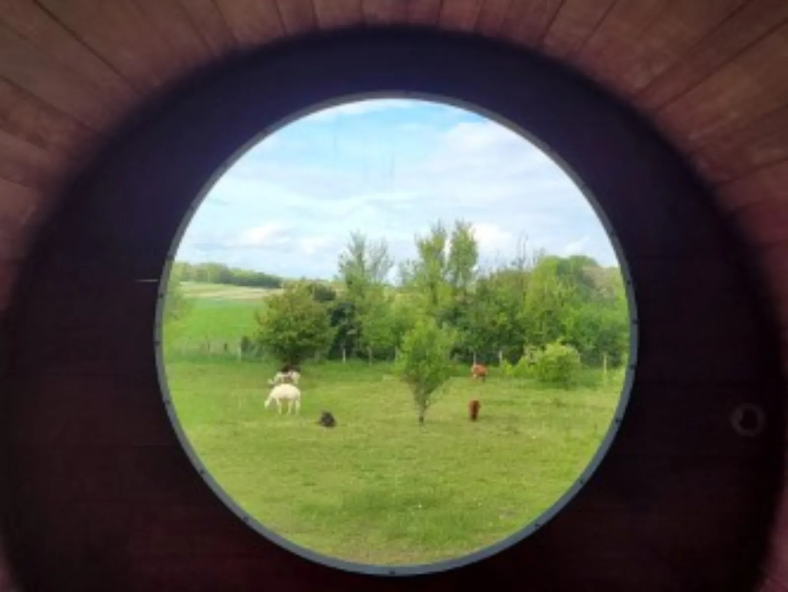 Buller D'tente - photo 7 sur 40