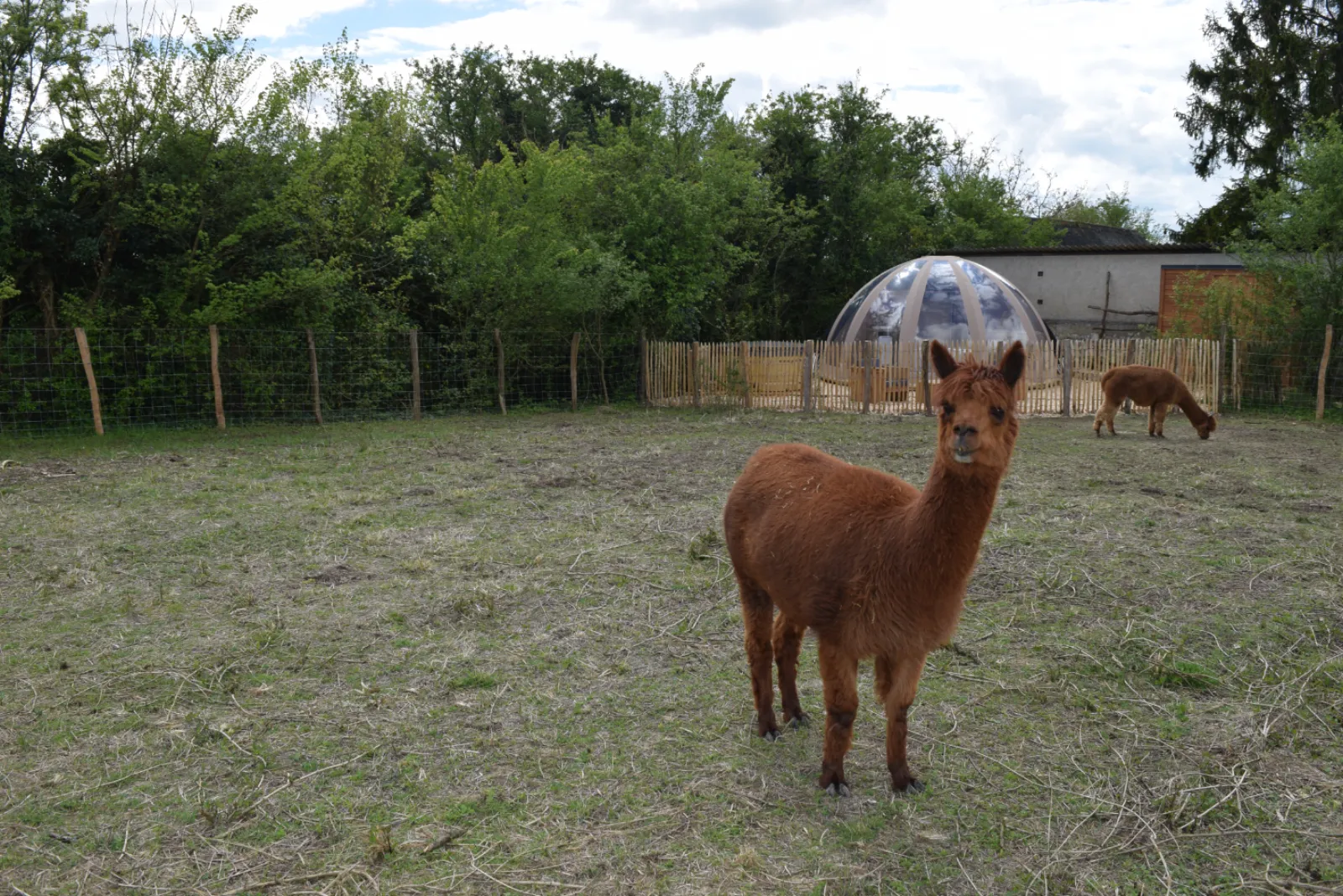 Buller D'tente - photo 13 sur 40
