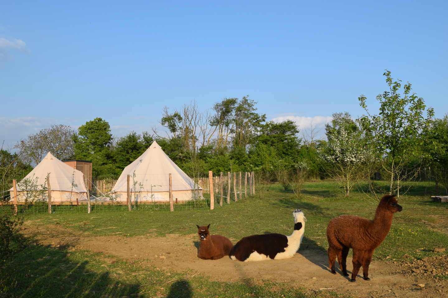 Buller D'tente – photo 19 sur 40