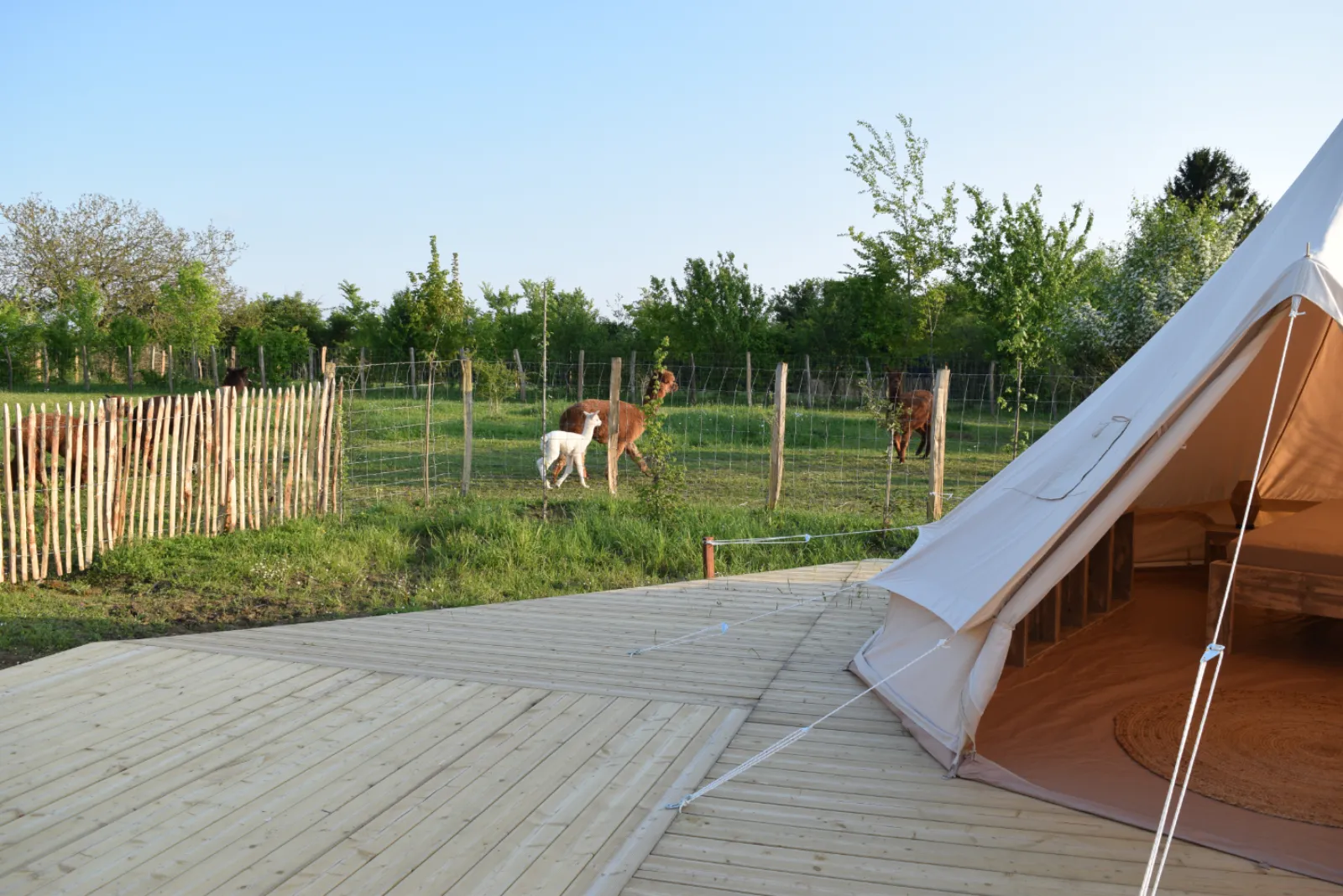 Buller D'tente - photo 35 sur 40