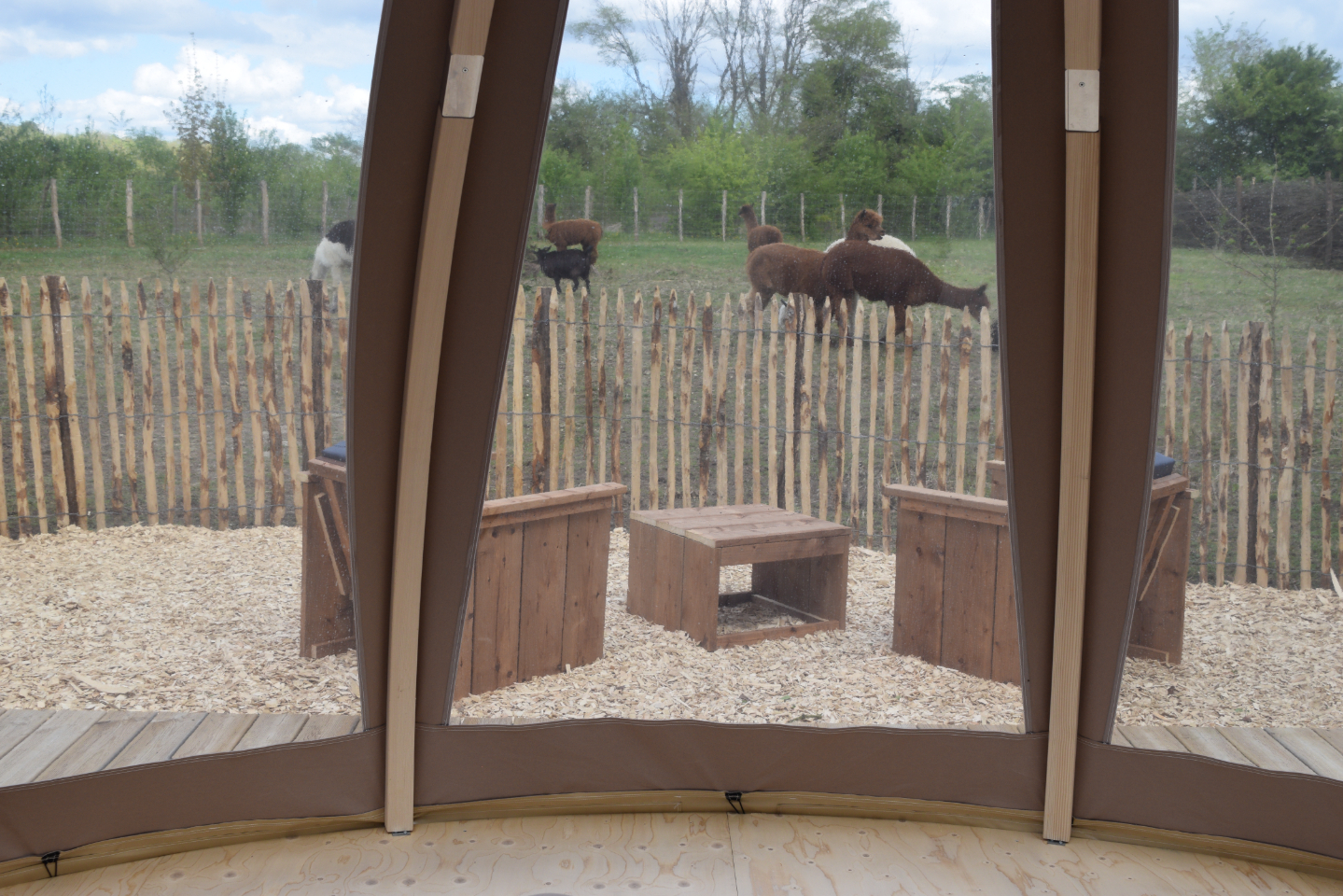 Buller D'tente – photo 37 sur 40