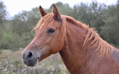 Les Bulles de Champagne & Spa – photo 50 sur 53