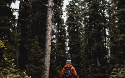 Les Bulles de Champagne & Spa – photo 52 sur 53