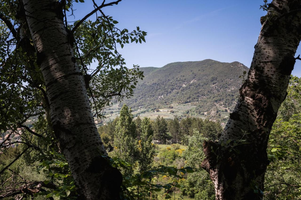Bulles d'Olive Olea avec piscine - Jacuzzi en option – photo 7 sur 8