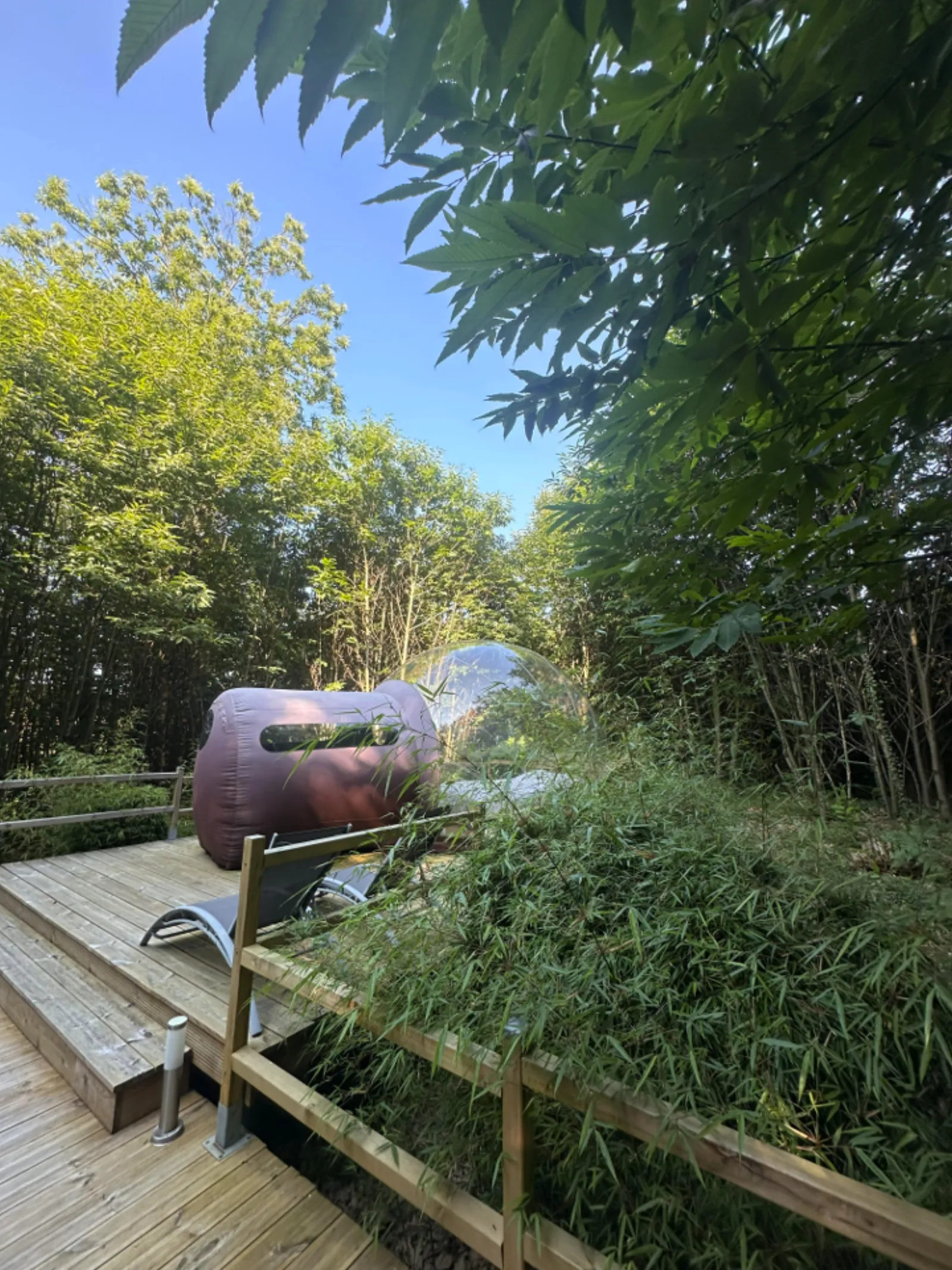 Bulles d'R - photo 20 sur 22