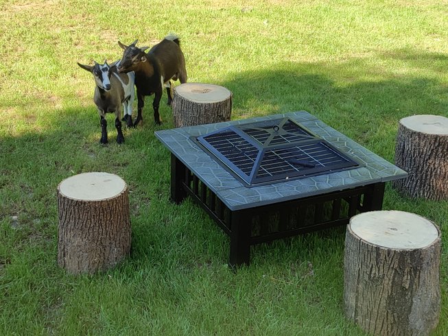La parenthèse enchantée : Dôme en Auvergne (Auvergne-Rhône-Alpes) – photo 14 sur 36