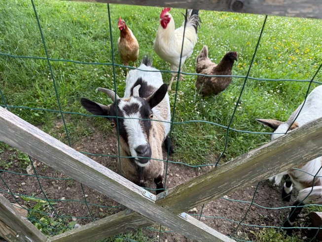 La parenthèse enchantée : Dôme en Auvergne (Auvergne-Rhône-Alpes) – photo 24 sur 36