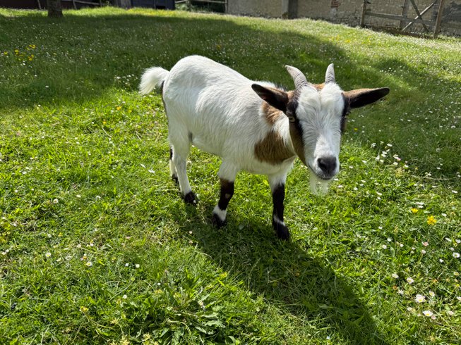 Le repère du Bûcheron & Spa : Dôme en Auvergne (Auvergne-Rhône-Alpes) – photo 52 sur 58