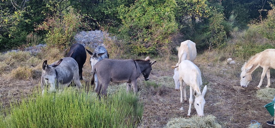 Le Dôme étoilé & Spa : Dôme en Provence-Alpes-Côte d'Azur – photo 10 sur 16
