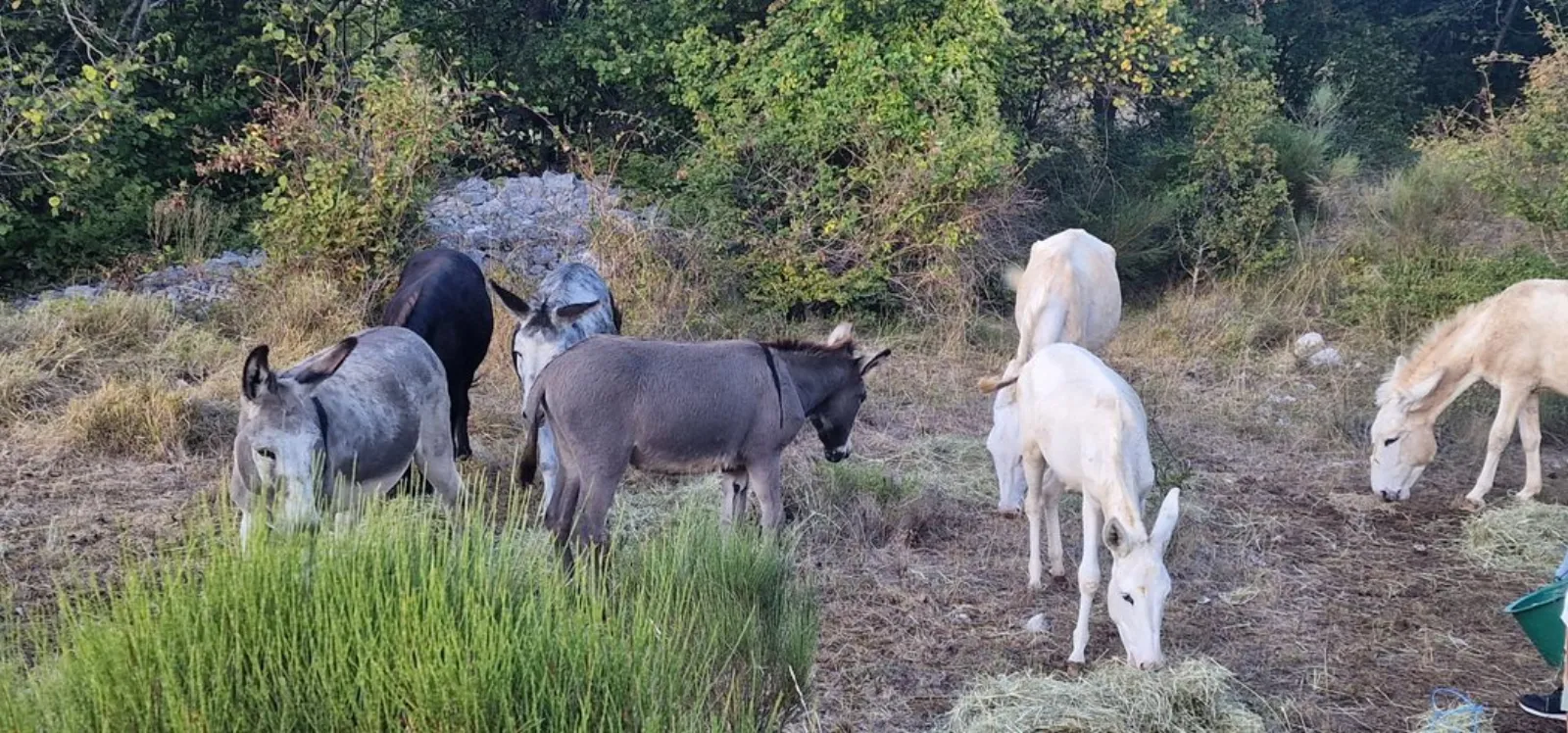 Le Dôme étoilé & Spa : Dôme en Provence-Alpes-Côte d'Azur - photo 10 sur 16