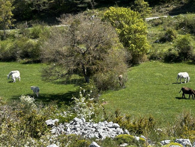 Le Dôme étoilé & Spa : Dôme en Provence-Alpes-Côte d'Azur – photo 11 sur 16