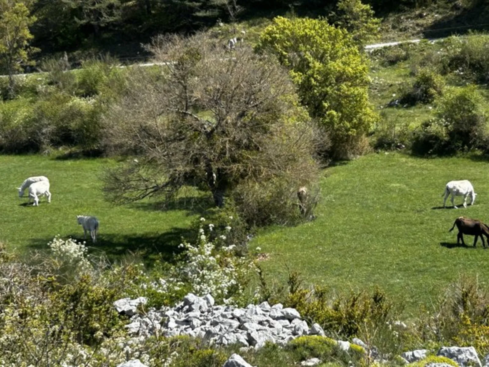 Le Dôme étoilé & Spa : Dôme en Provence-Alpes-Côte d'Azur - photo 11 sur 16