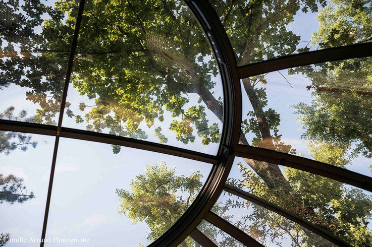 Bulle Olea : Dôme en Rhône-Alpes (Auvergne-Rhône-Alpes) – photo 8 sur 17