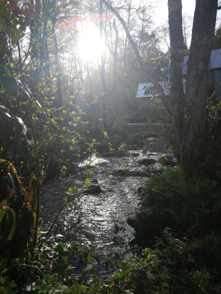 Chambre bulle sous les étoiles à Feyt