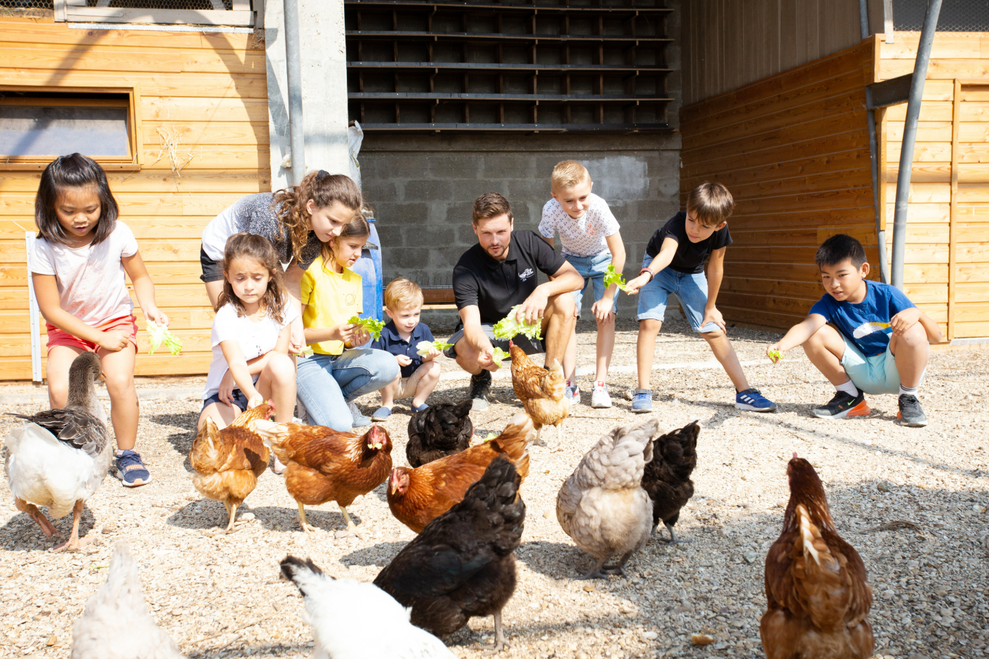 Bulles sur pilotis – photo 12 sur 17