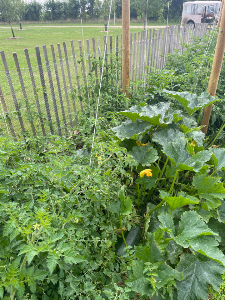 Bulles sur pilotis – photo 13 sur 17