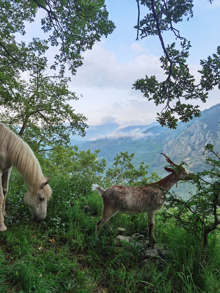 Bulles Suspendues dans les Arbres & Spa - Zoelieres – photo 15 sur 44