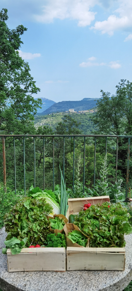 Bulles Suspendues dans les Arbres & Spa - Zoelieres – photo 16 sur 44