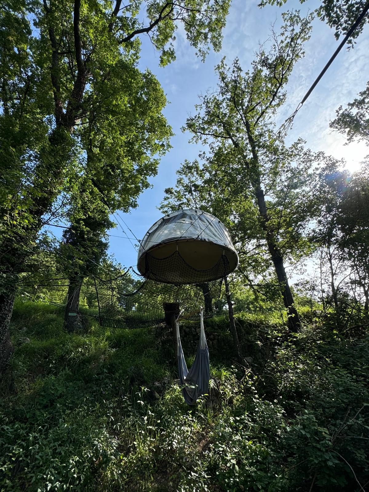 Bulles Suspendues dans les Arbres & Spa - Zoelieres – photo 21 sur 44