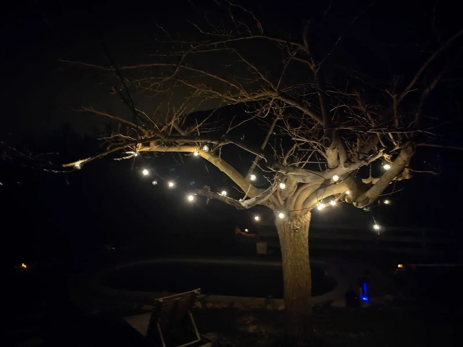 Bulles Suspendues dans les Arbres & Spa - Zoelieres - photo 26 sur 44