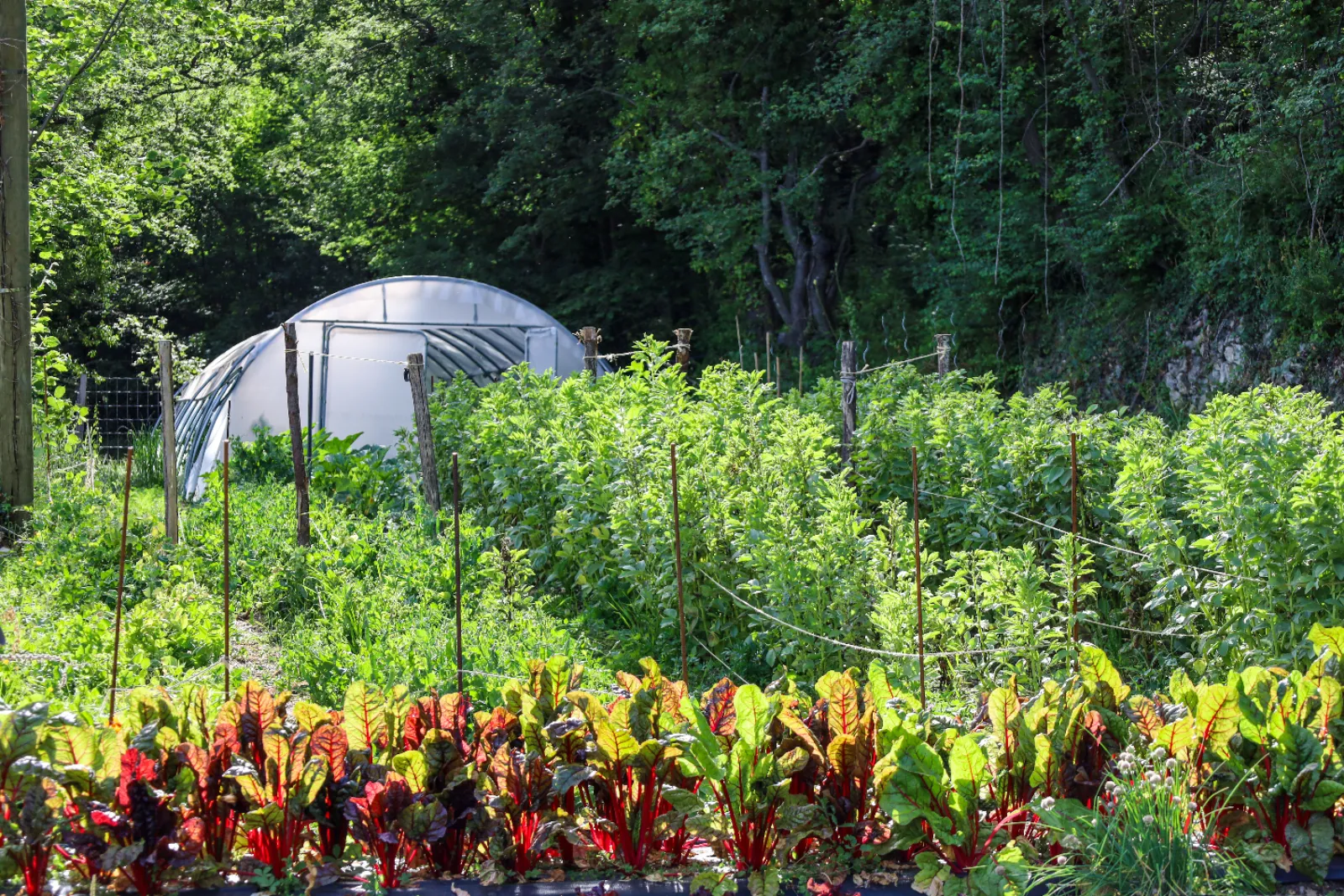 Bulles Suspendues dans les Arbres & Spa - Zoelieres - photo 28 sur 44