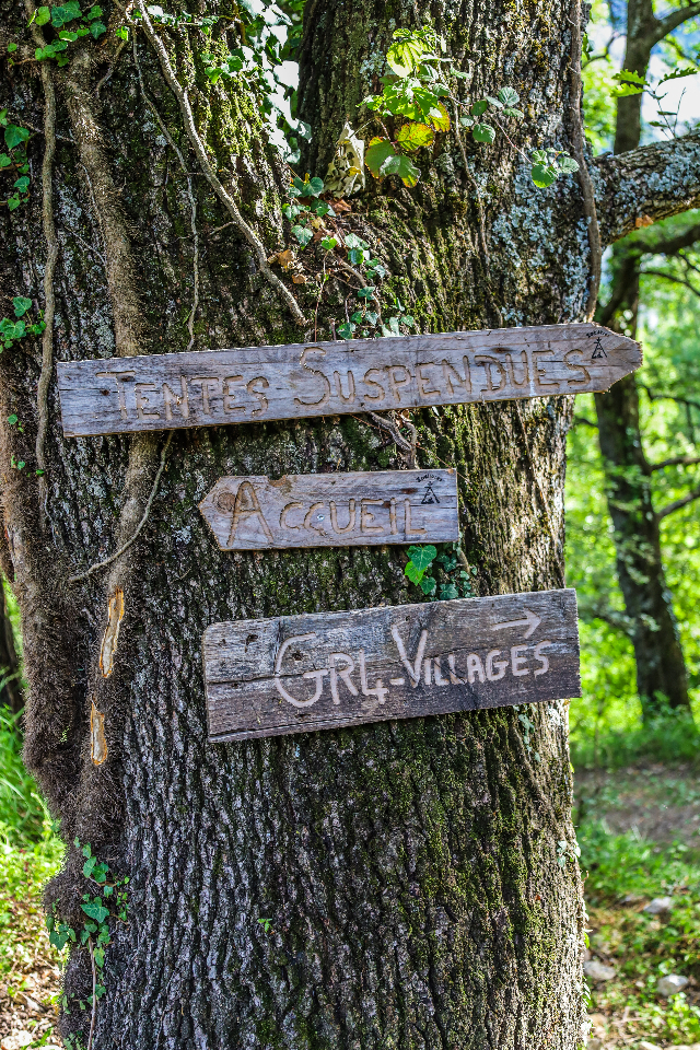 Bulles Suspendues dans les Arbres & Spa - Zoelieres – photo 29 sur 44