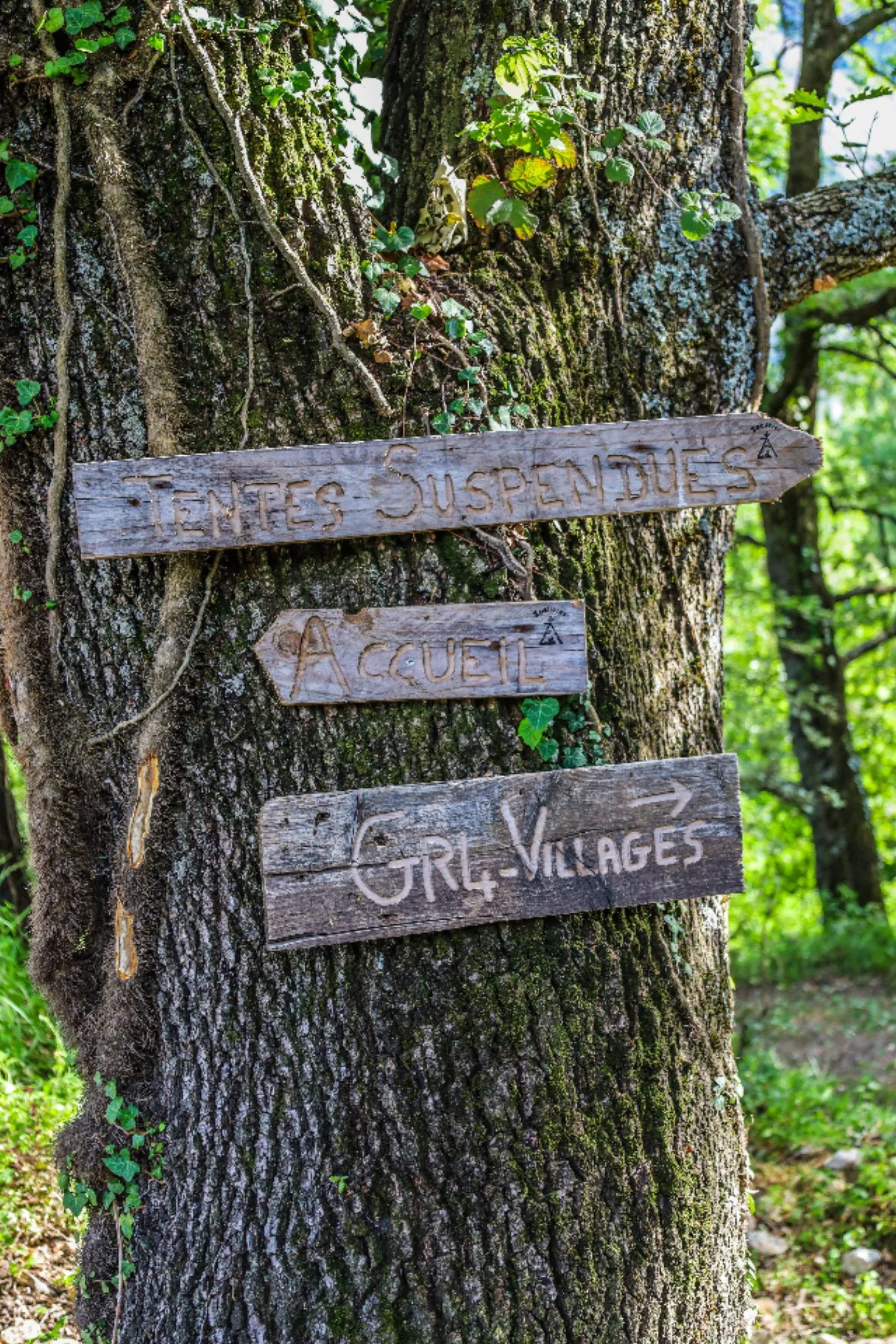 Bulles Suspendues dans les Arbres & Spa - Zoelieres - photo 29 sur 44