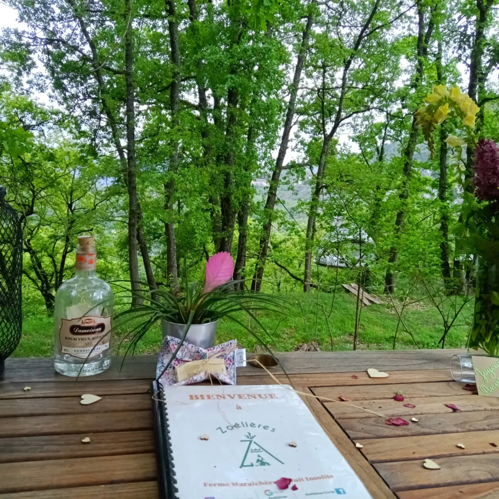 Bulles Suspendues dans les Arbres & Spa - Zoelieres - photo 31 sur 44