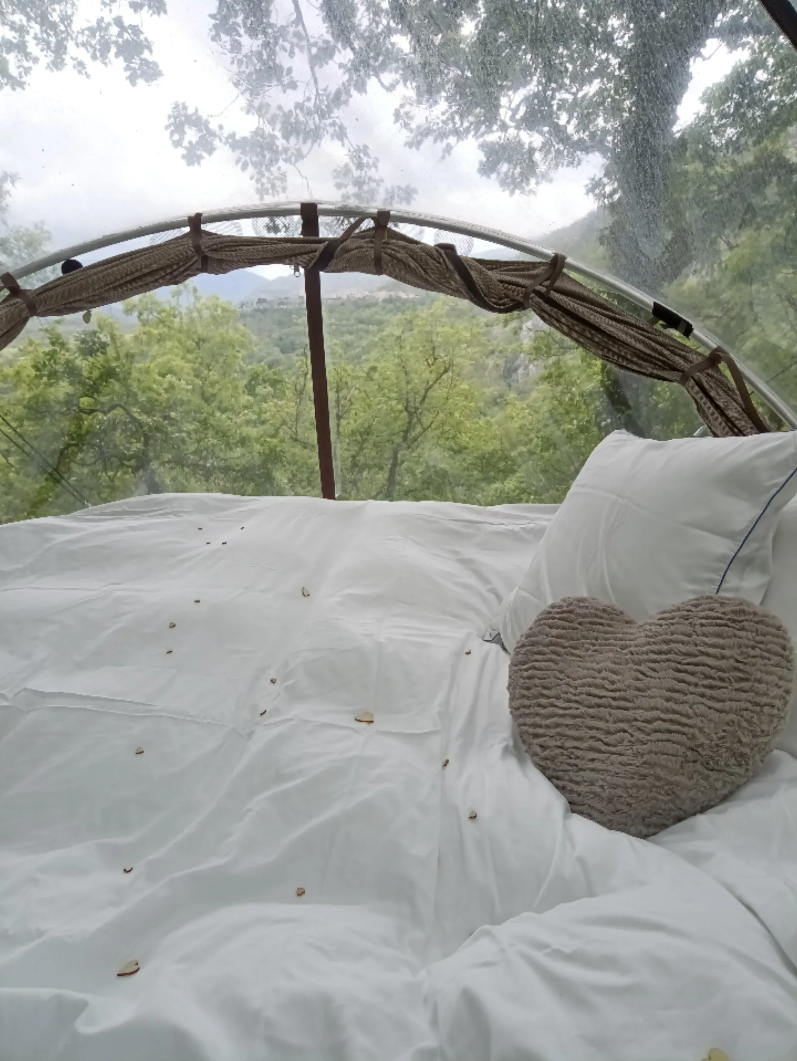 Bulles Suspendues dans les Arbres & Spa - Zoelieres - photo 32 sur 44