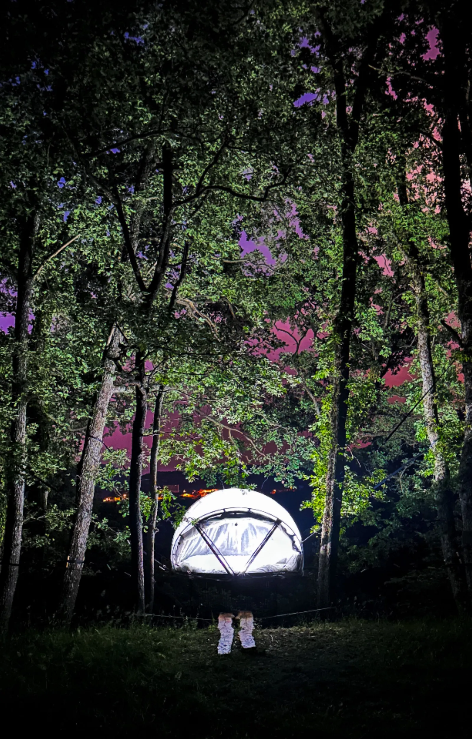 Bulles Suspendues dans les Arbres & Spa - Zoelieres - photo 33 sur 44