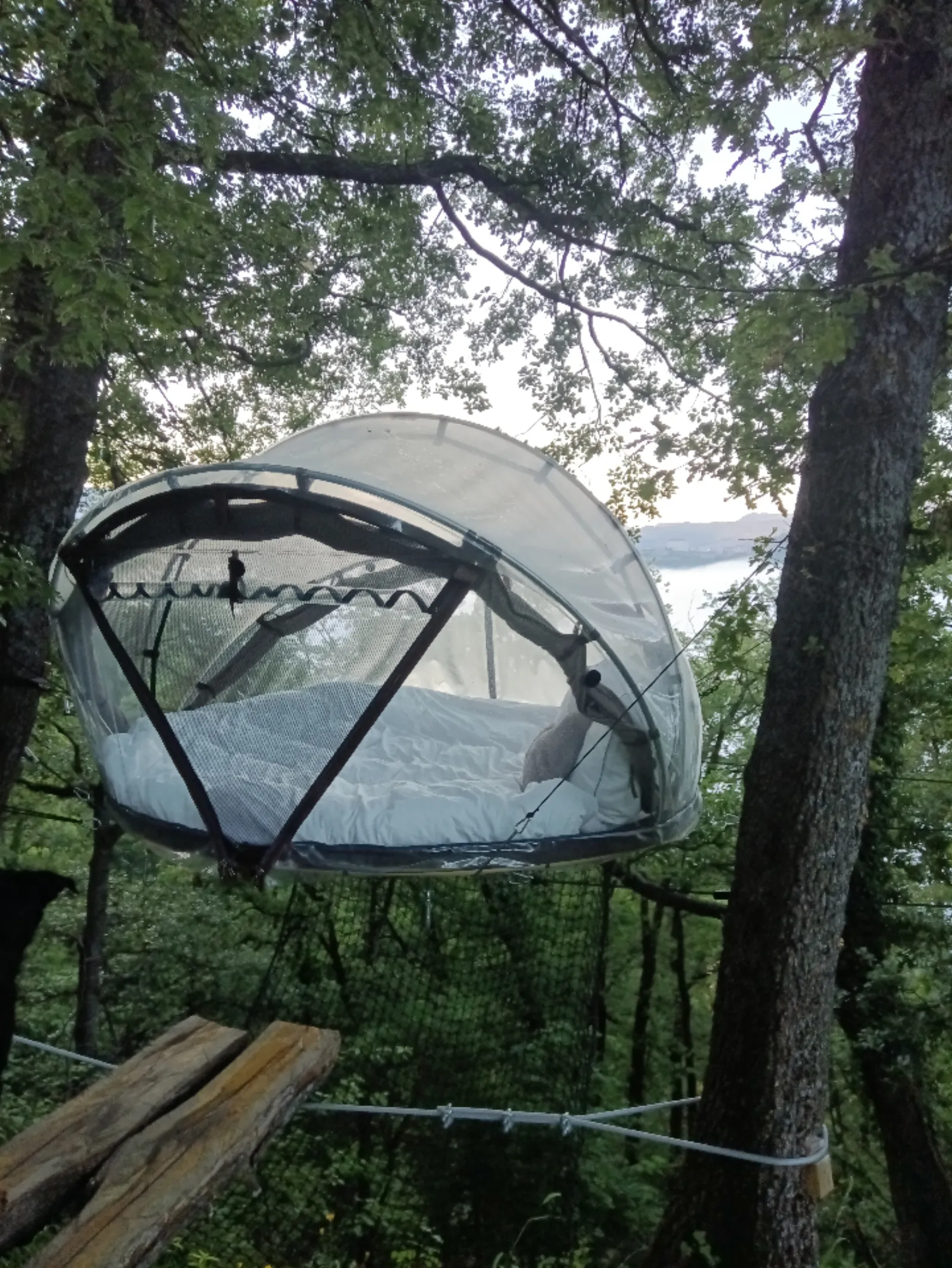 Bulles Suspendues dans les Arbres & Spa - Zoelieres - photo 35 sur 44