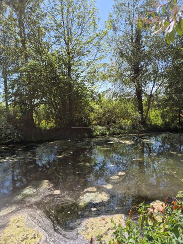 dôme insolite Aisne – photo 5