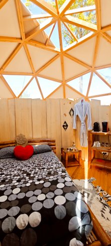 N°12 - Voyage Cosmique + SPA privatisable 1h inclus : Dôme en Pays de la Loire – photo 10 sur 17